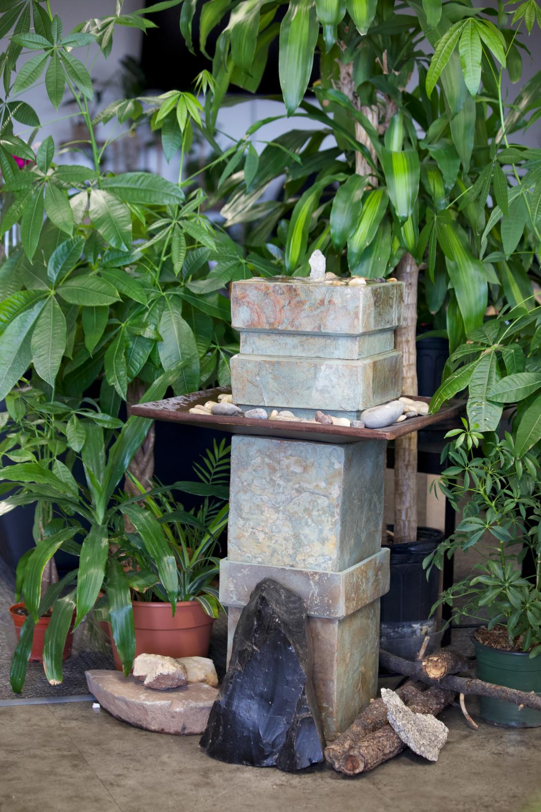 unnamed image