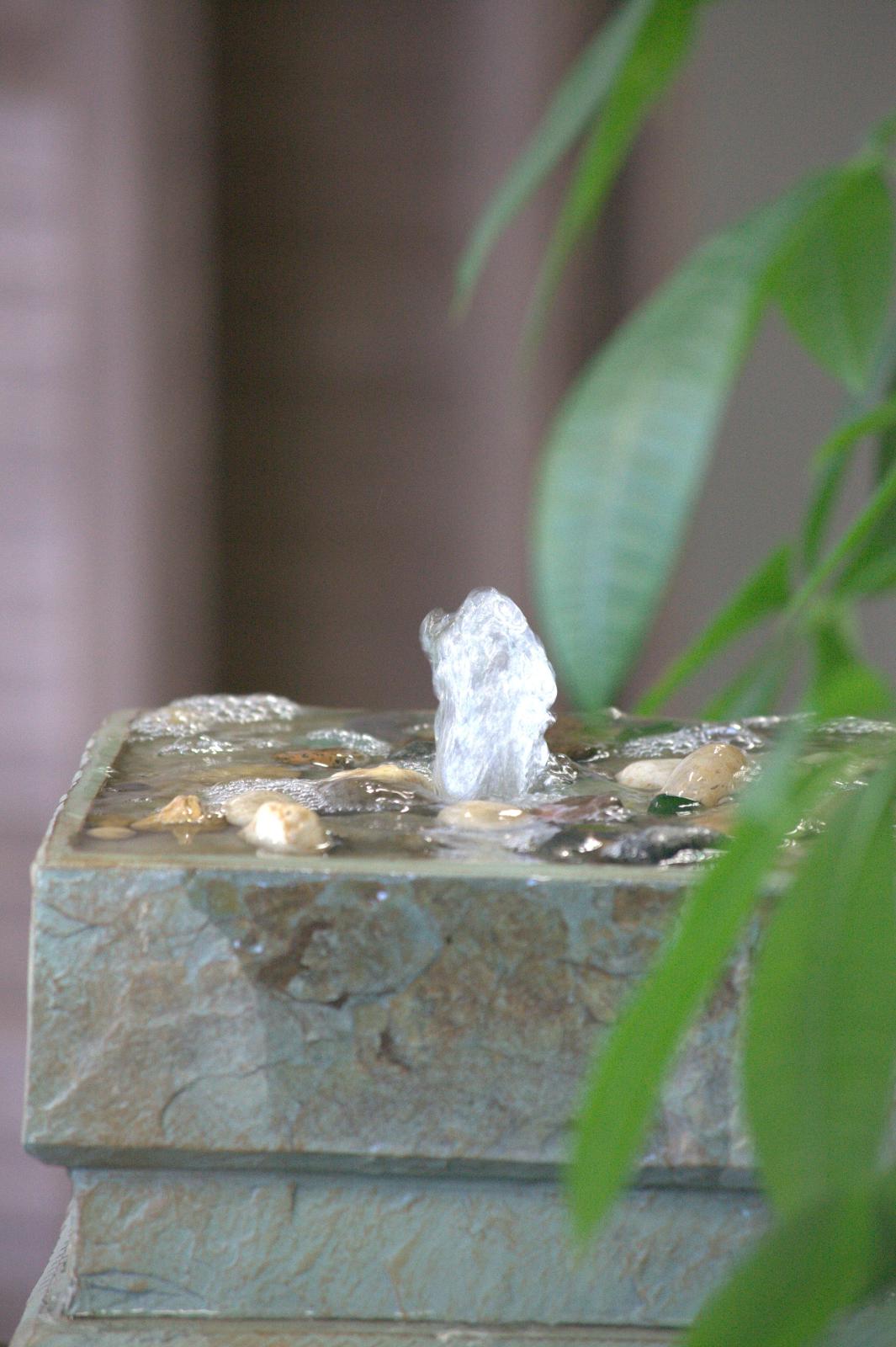 unnamed image